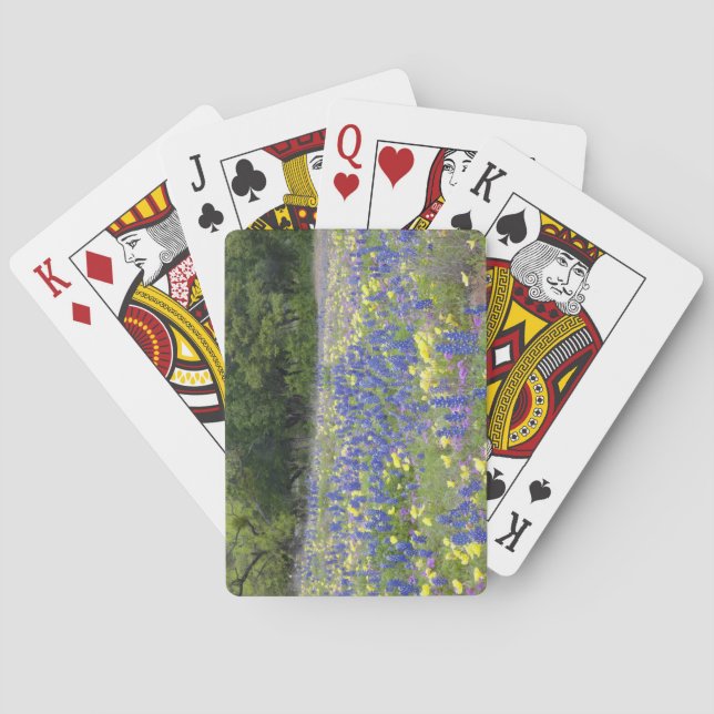 Baraja De Cartas Bluebonnets, primrose, and phlox (Reverso)