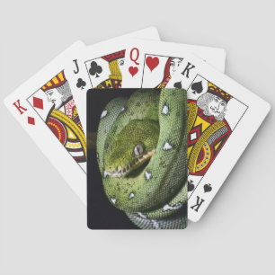 Baraja De Cartas Boa de serpiente verde de Bolivia