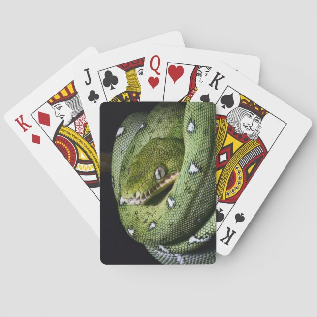 Baraja De Cartas Boa de serpiente verde de Bolivia (Reverso)