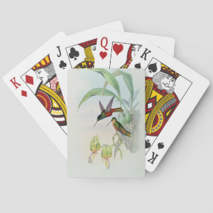 Baraja De Cartas Bonaparte's Star Fronted Hummingbird (coloured lit