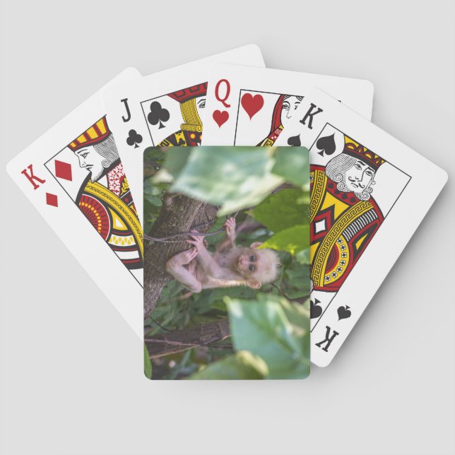 Baraja De Cartas Bonita macaca con barba (Reverso)