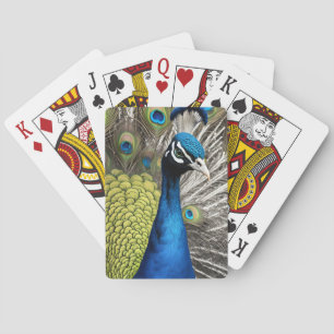 Baraja De Cartas Bonito Peacock