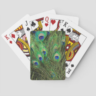 Baraja De Cartas Bonito Peacock