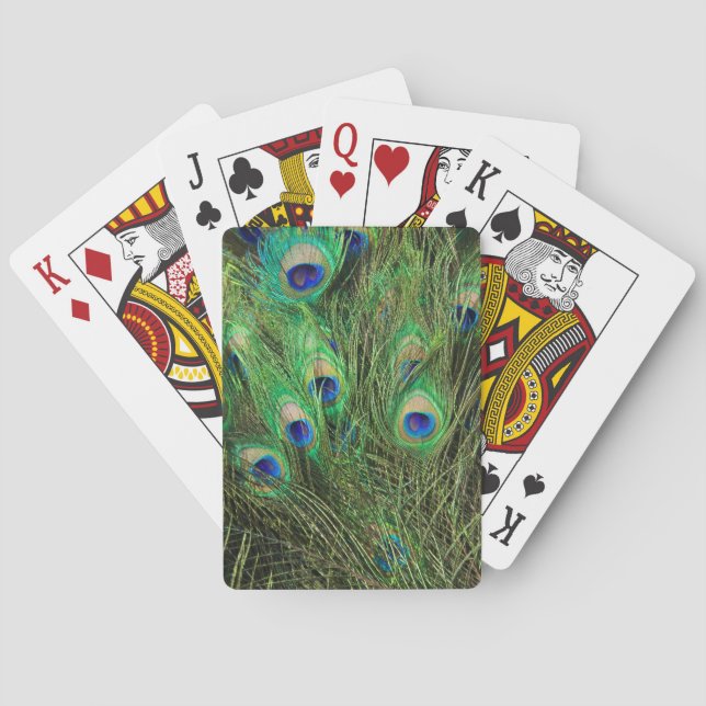 Baraja De Cartas Bonito Peacock (Reverso)