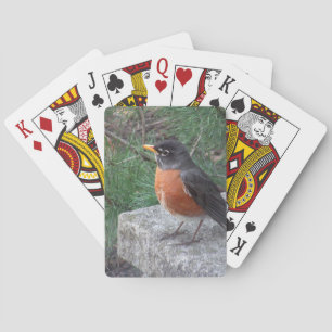 Baraja De Cartas Bonito Robin En El Jardín