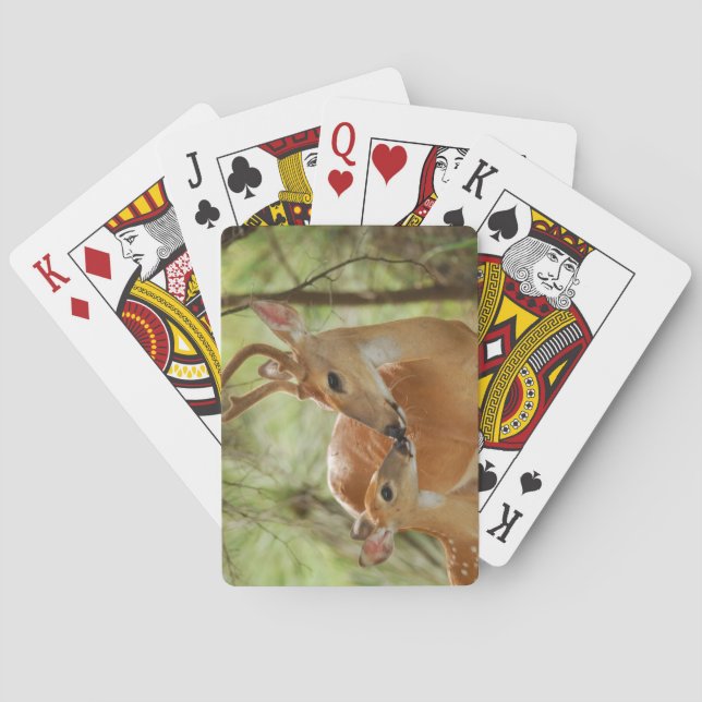 Baraja De Cartas Bonos De Buck Y Fawn (Reverso)