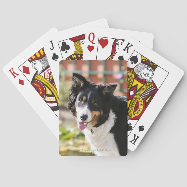 Baraja De Cartas Borde de Collie Panting 1 (Reverso)