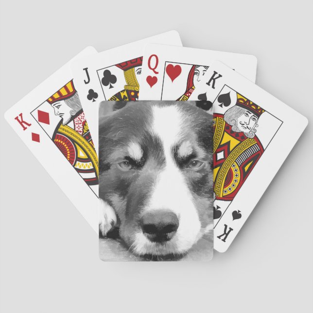 BARAJA DE CARTAS BORDER COLLIE (Reverso)