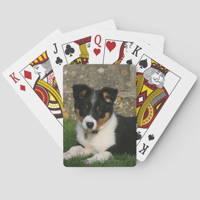 Baraja De Cartas Border Collie Puppy with Leaf in Mouth (Reverso)