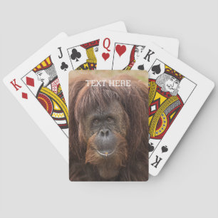 Baraja De Cartas Borneo Orangutan Beautiful Photography