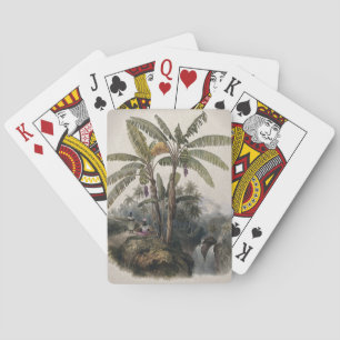 Baraja De Cartas Bosque de árboles plásticos tropicales antiguos   