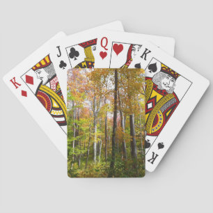 Baraja De Cartas Bosque de otoño I Fotografía de paisaje otoñal
