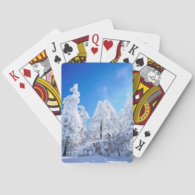 Baraja De Cartas Bosque nacional de Cleveland (Reverso)