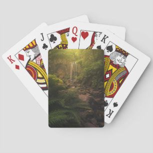 Baraja De Cartas Bosques   Cascada con los aspectos más destacados 