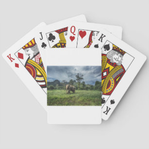 Baraja De Cartas Bosques   Parque nacional Kao Sok