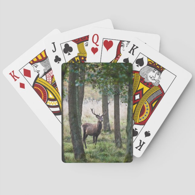 Baraja De Cartas Bosques | Woodlands & Red Deer (Reverso)