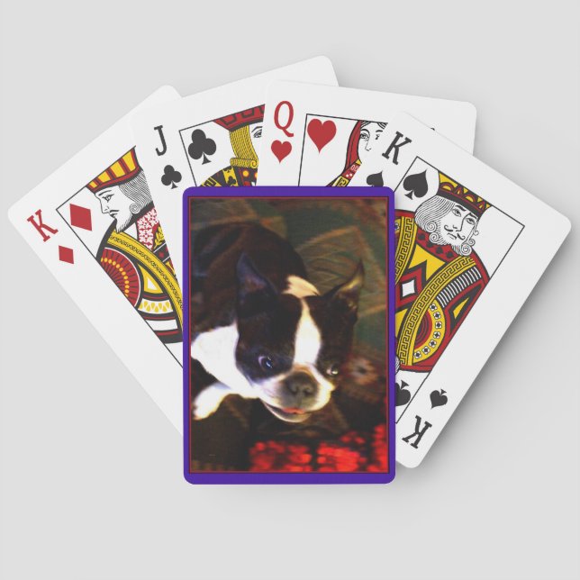 Baraja De Cartas Boston Terrier playing cards (Reverso)