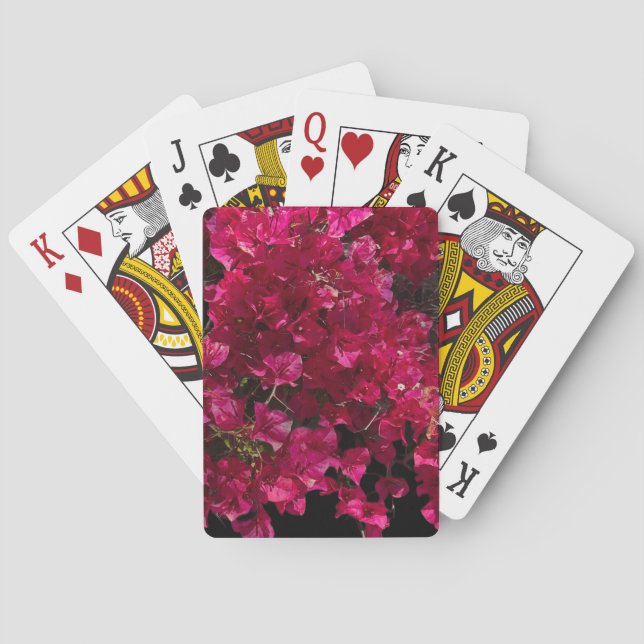 Baraja De Cartas Bougainvillea Red Tropical Vining Shrub Foto (Reverso)