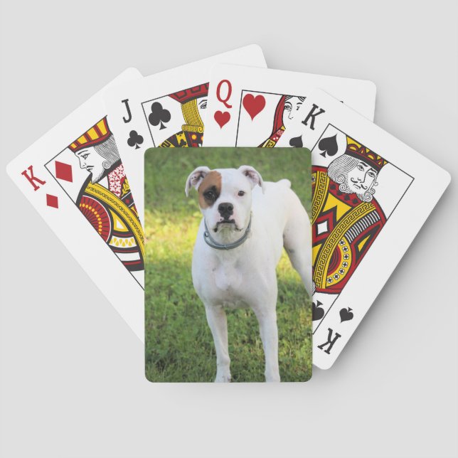 Baraja De Cartas Boxeador (Reverso)