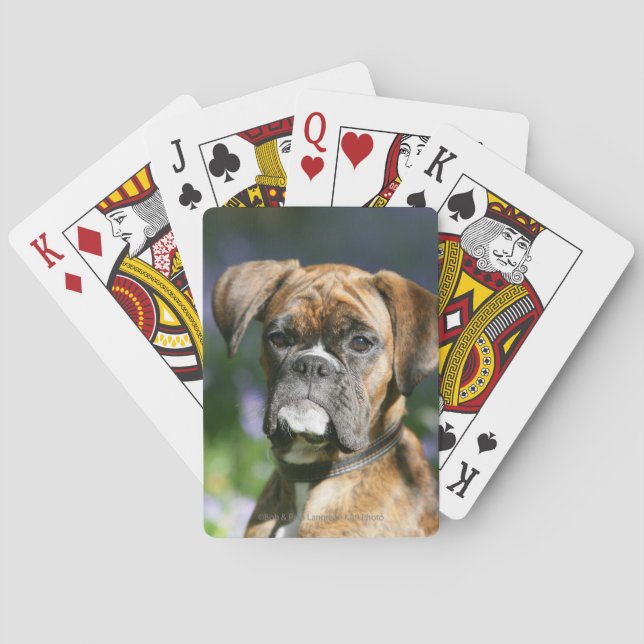 Baraja De Cartas Boxer Dog Headshot (Reverso)