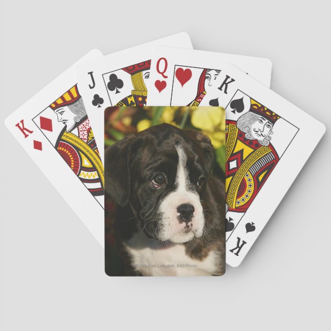 Baraja De Cartas Boxer Puppies (Reverso)