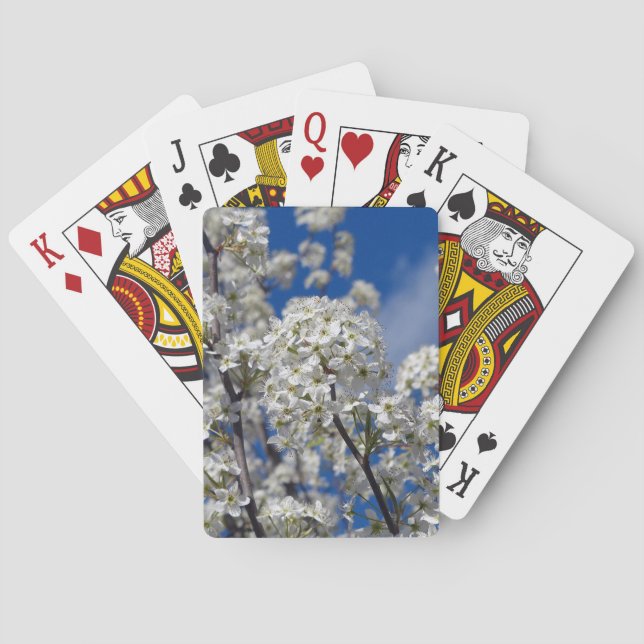 Baraja De Cartas Bradford Pear Blooms (Reverso)