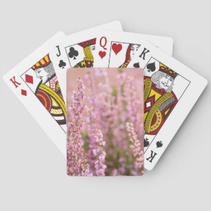 Baraja De Cartas Brezo en Horsham, Sussex, Inglaterra