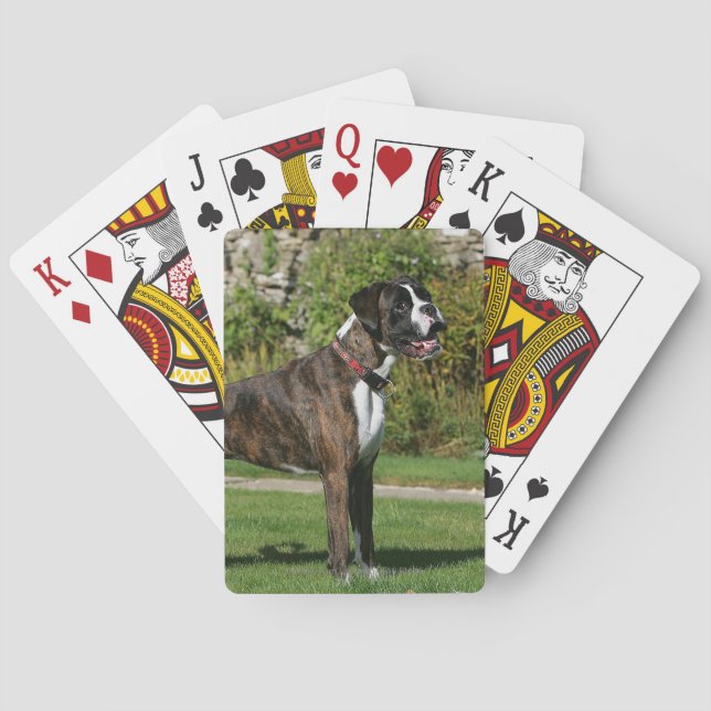 Baraja De Cartas Brindle Boxer Dog Show Stance (Reverso)