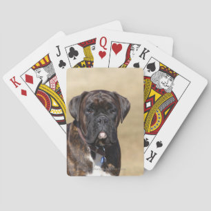 Baraja De Cartas Brindle Boxer Dog Standing