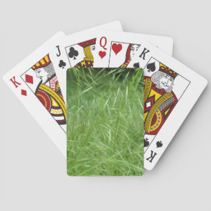 Baraja De Cartas Bromus tectorum