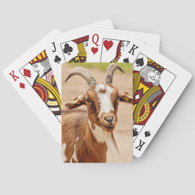 Baraja De Cartas Brown and White Goat (Reverso)