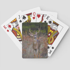BARAJA DE CARTAS BUCK