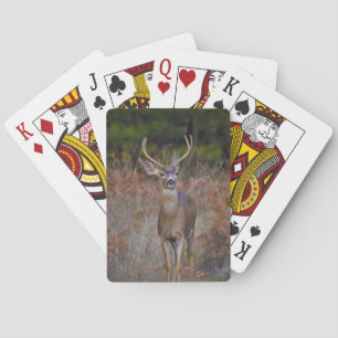 BARAJA DE CARTAS BUCK