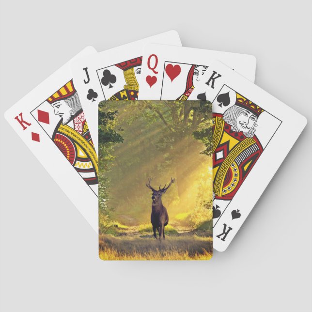 Baraja De Cartas buck Deer (Reverso)