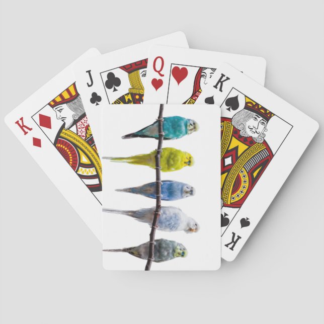 Baraja De Cartas Budgies (Reverso)