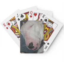 Buenas Noches, Duerme Bien, Perro Tonto
