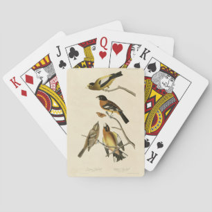 Baraja De Cartas Buenas noches, pájaros Grosbeak Audubon de América
