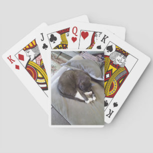 Baraja De Cartas Buenas noches, señor