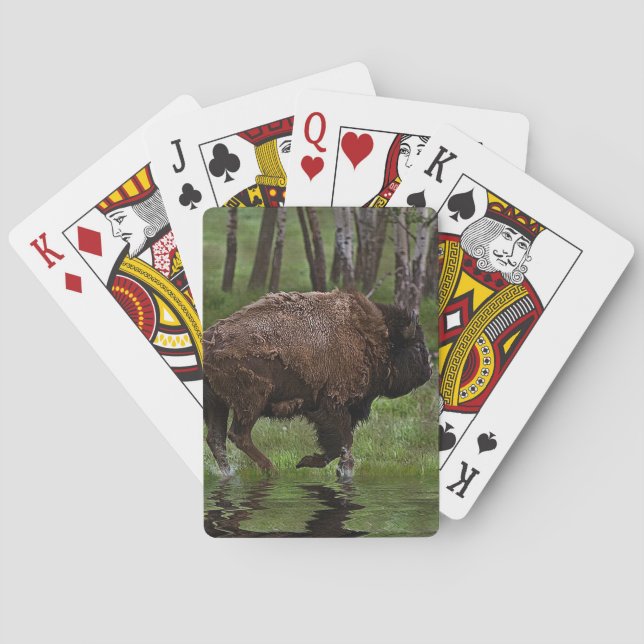 Baraja De Cartas Búfalo y bosque en funcionamiento, diseño de Bison (Reverso)