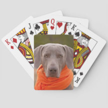 Bufanda Perro Canino Weimaraner