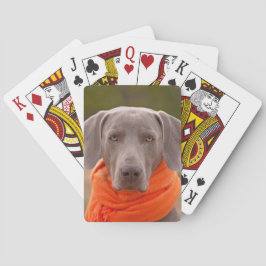 Baraja De Cartas Bufanda Perro Canino Weimaraner