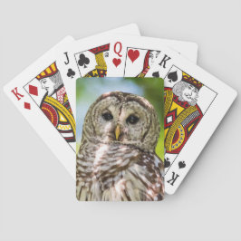 Baraja De Cartas Búho barrado