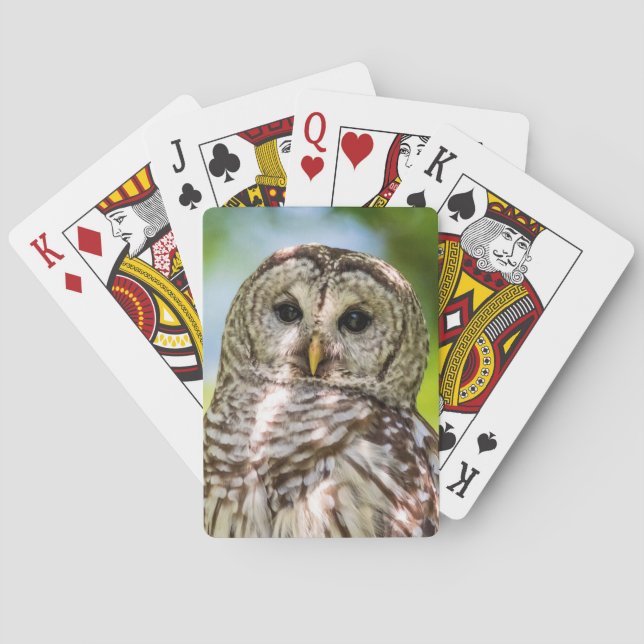 Baraja De Cartas Búho barrado (Reverso)