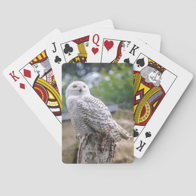 Baraja De Cartas Búho de nieve (Reverso)