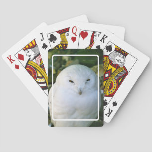 Baraja De Cartas Búho nival