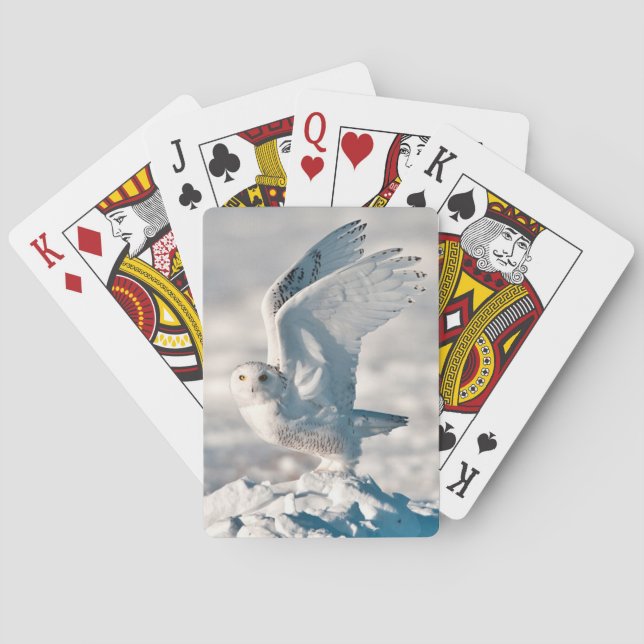 Baraja De Cartas Búho nival despegando de la nieve (Reverso)