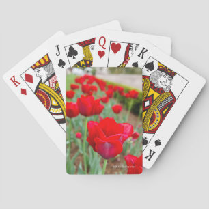 Baraja De Cartas Bulbos de Haupt, primer