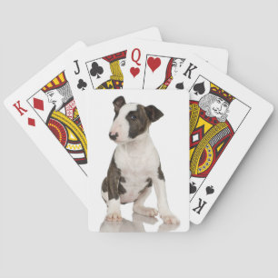 Baraja De Cartas Bull Terrier
