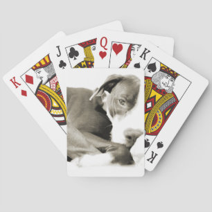 Baraja De Cartas bulldog adorable y perezoso