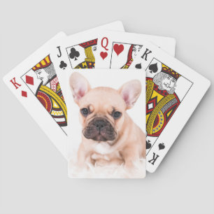 Baraja De Cartas Bulldog francés